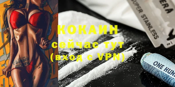 меф Арсеньев