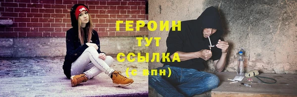 молекула духа Билибино